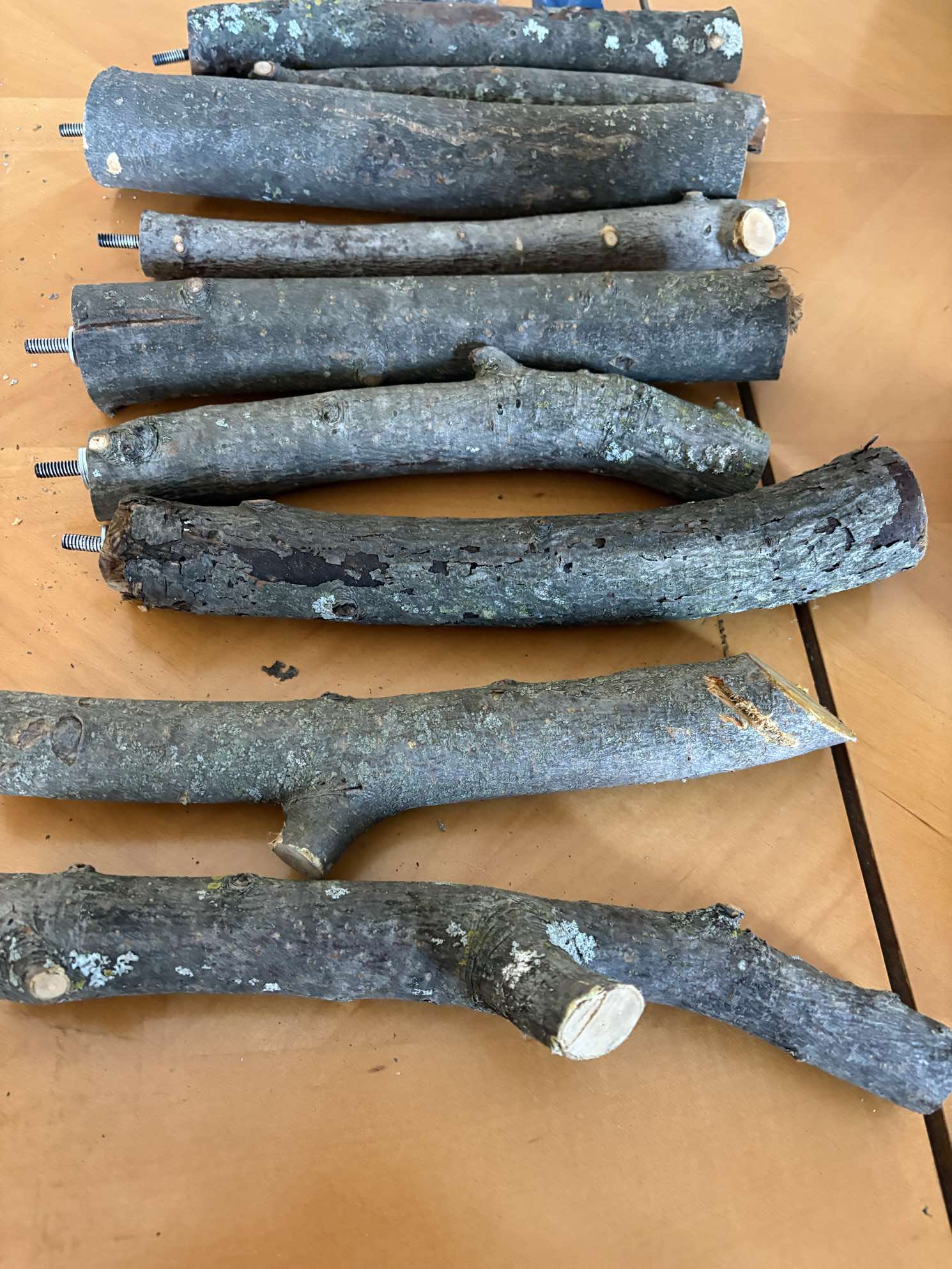 Assorted natural wood branches and perches laid out on workshop table